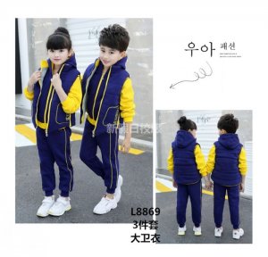 學生校服 冬款 三件套大衛(wèi)衣  校服廠家定制