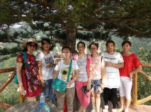 團(tuán)隊(duì)游玩